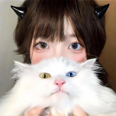 蓬莱龙棺之徐福宝藏
