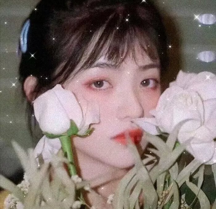 蓝百合